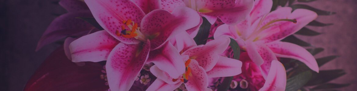 Image of lilies for Colin Fisher Funeral Directors Orpington and Bromley community banner